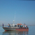 Sassy Sal Fishing Charter Boat