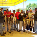 a group charter with many fish